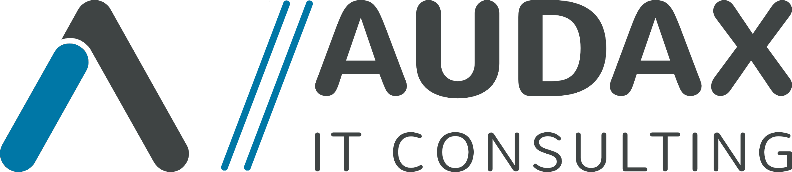 AudaxIT